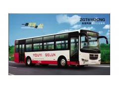 求购天然气城市客车