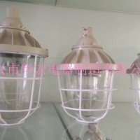 隔爆型防爆灯(IIB)  防爆防腐灯 专业防爆灯