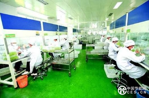QQ截图20180712225851