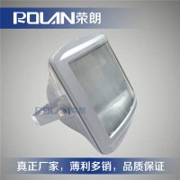 GT301厂区防眩通路灯 100W三防节能灯