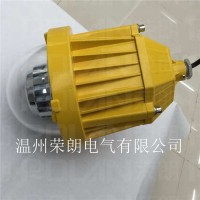 DGS48LED防爆灯 24W/IP67LED吊杆灯