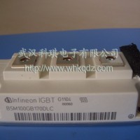英飞凌IGBT模块BSM100GB170DLC