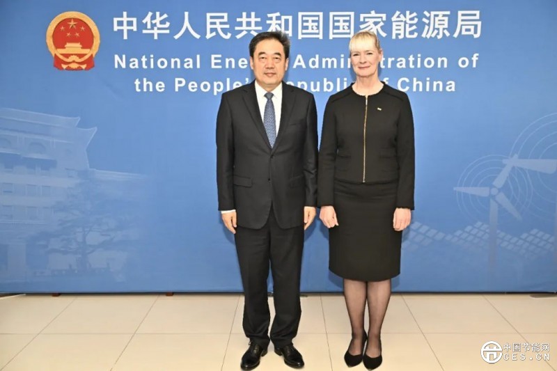 国家能源局主要负责人会见世界能源理事会总干事