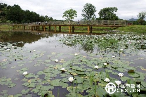 福建长汀汀江国家湿地公园